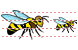 Bee icon