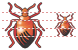 Bug icon