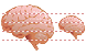 Gehirn Icon
