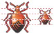 Escarabajo Icon