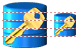 Sicherheit der Datenbank Icon