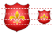 Escudo Icon